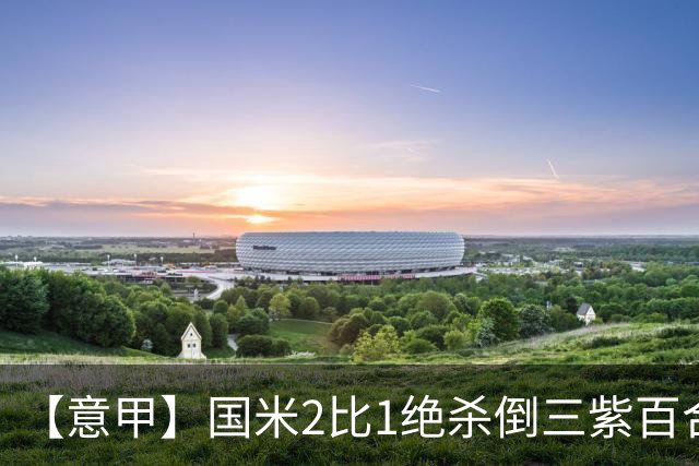 【意甲】国米2比1绝杀倒三紫百合，图拉姆绝平+造点