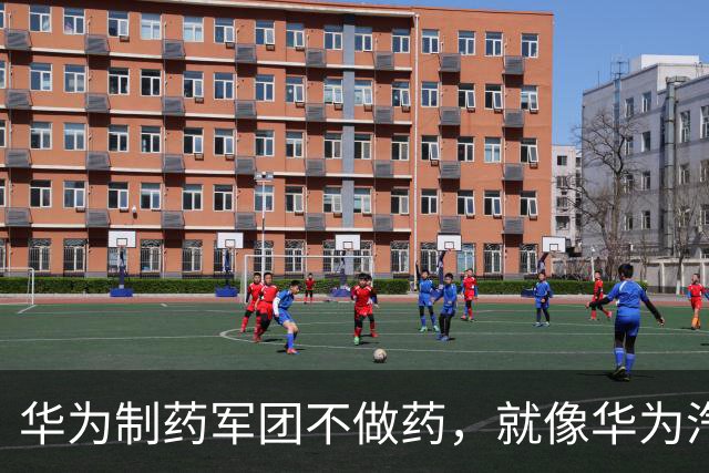 华为制药军团不做药，就像华为汽车军团不造车