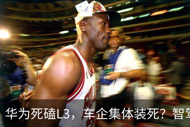 华为死磕L3，车企集体装死？智驾圈这场豪赌，输赢就在明年！