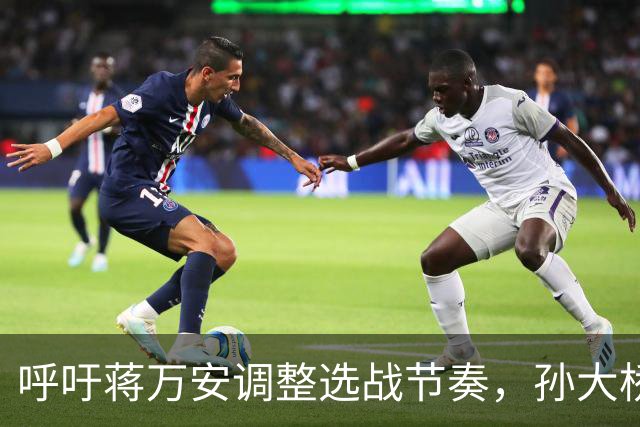 呼吁蒋万安调整选战节奏，孙大桥示警：民进党已投入全党之力