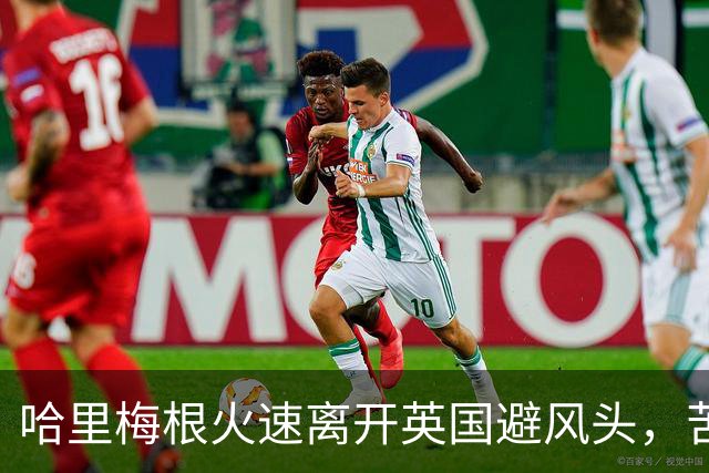 哈里梅根火速离开英国避风头，苦了俩孩子，这学还能不能上了