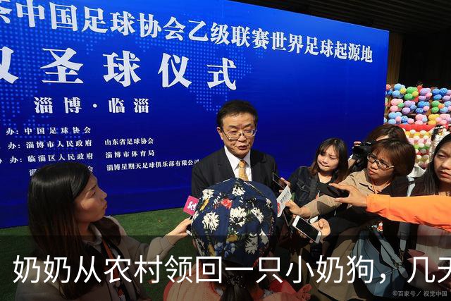 奶奶从农村领回一只小奶狗，几天后网友早起出门，看到门口这一幕，心都化了！