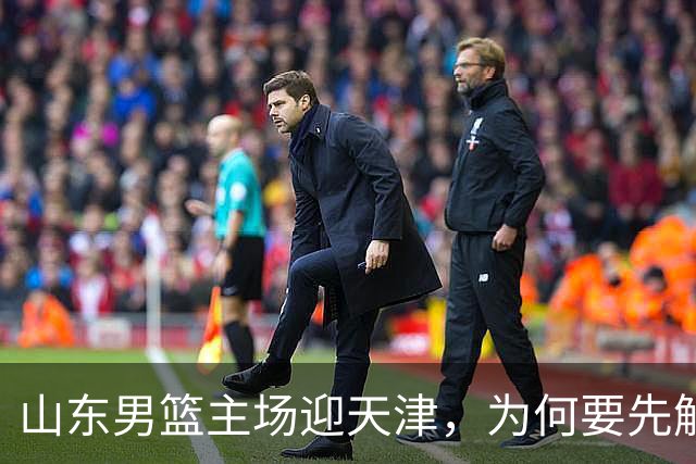 山东男篮主场迎天津，为何要先解决一二号位球权分配？