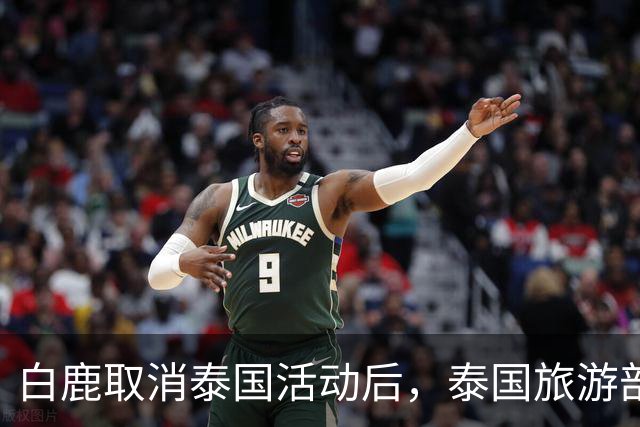 白鹿取消泰国活动后，泰国旅游部长一番话引发争议！