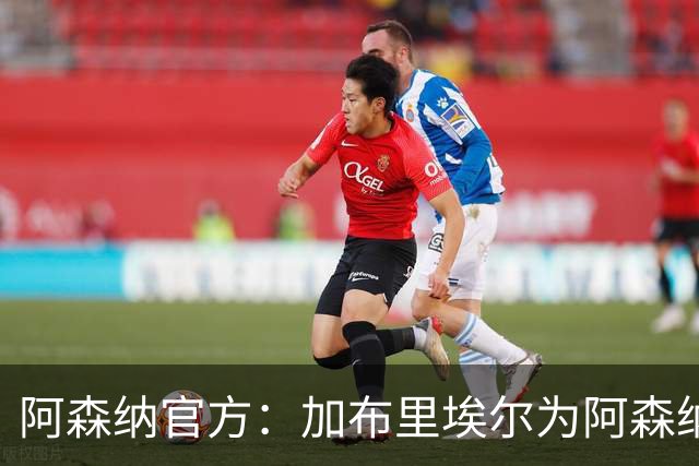 阿森纳官方：加布里埃尔为阿森纳完成200场英超出场