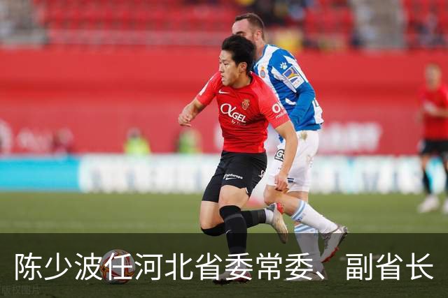 陈少波任河北省委常委、副省长