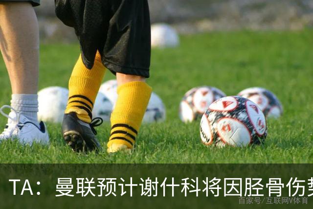 TA：曼联预计谢什科将因胫骨伤势至少缺阵至明年1月